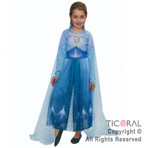 DISF FROZEN II ELSA CELESTE TALLE 2 x 1